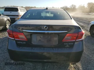 2010 Lexus ES 330 with VIN JTHBK1EG9A2375436, listed as a Copart auction lot 76818974 with 61,629 mi miles and Salvage Title. Bid and sale history available at DreamBid. Image 6.