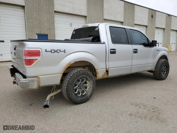 2010 Ford F-150 XL with VIN 1FTFW1EV4AFD11626, listed as a Copart auction lot 49532615 with 272,315 mi miles and Clean Title. Bid and sale history available at carsss.com. Image 3.