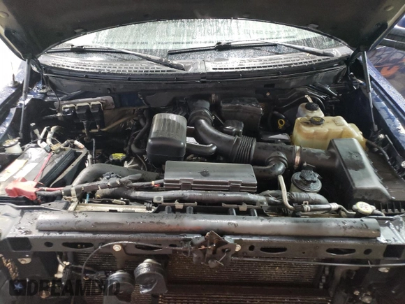 2010 Ford F-150 XL with VIN 1FTFW1EVXAFB92416, listed as a Copart auction lot 51909125 with 210,718 mi miles and Salvage Title. Bid and sale history available at carsss.com. Image 12.