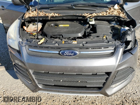 2013 Ford Escape SE with VIN 1FMCU0GX8DUB61503, listed as a Copart auction lot 83223434 with 209,396 mi miles and Salvage Title. Bid and sale history available at DreamBid. Image 13.
