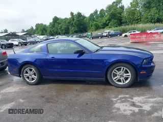 2014 Ford Mustang V6 with VIN 1ZVBP8AM9E5273871, listed as a IAAI auction lot 42457947 with 129,175 mi miles and . Bid and sale history available at DreamBid. Image 13.