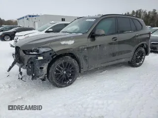 2024 BMW X5 xDrive50e with VIN 5UX43EU08R9W07237, listed as a Copart auction lot 46109415 with 0 mi miles and Salvage Title. Bid and sale history available at carsss.com. Image 1.
