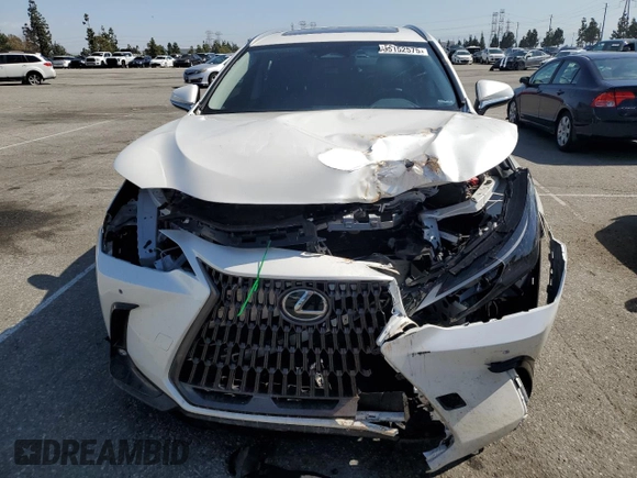 2025 Lexus NX 350h Premium with VIN JTJGKCEZXS2046795, listed as a Copart auction lot 55152575 with 3,611 mi miles and Clean title. Bid and sale history available at DreamBid. Image 5.