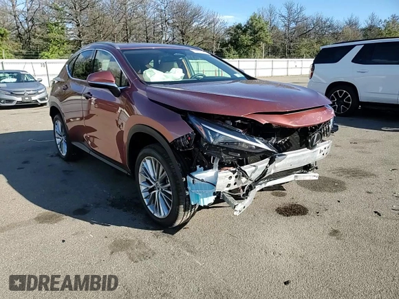 2025 Lexus NX with VIN 2T2GGCEZ7SC066651, listed as a Copart auction lot 73207444 with 1,764 mi miles and Salvage Title. Bid and sale history available at carsss.com. Image 11.