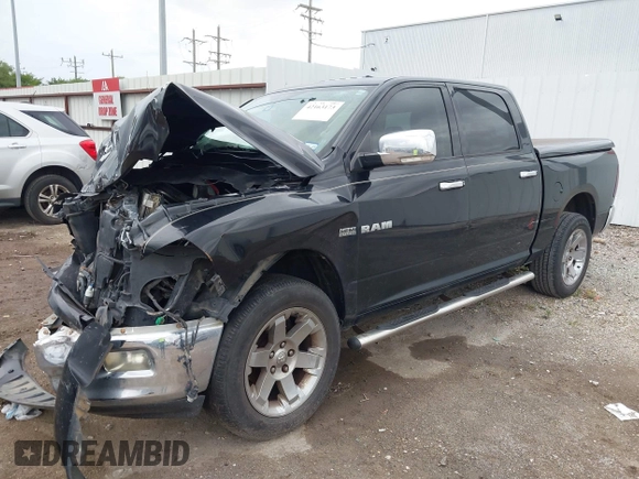 2009 Dodge 1500 SLT z VIN 1D3HV13T09S702280, wystawiony jako IAAI lot #42163173 z przebiegiem Nie podano mil oraz . Historia ofert i sprzedaży dostępna na DreamBid. Obrazek 2.