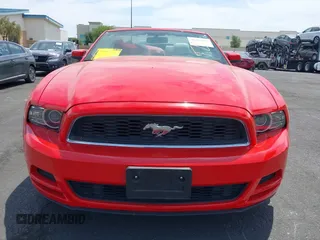 2014 Ford Mustang V6 with VIN 1ZVBP8EM5E5236603, listed as a IAAI auction lot 42355551 with 100,617 mi miles and . Bid and sale history available at DreamBid. Image 13.
