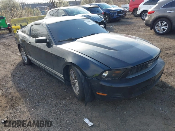 2010 Ford Mustang V6 with VIN 1ZVBP8AN6A5120674, listed as a IAAI auction lot 41986060 with 144,388 mi miles and . Bid and sale history available at carsss.com. Image 1.