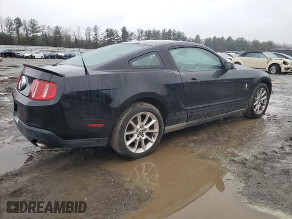 2010 Ford Mustang V6 with VIN 1ZVBP8AN3A5112855, listed as a Copart auction lot 49824275 with 161,778 mi miles and Salvage Title. Bid and sale history available at DreamBid. Image 3.