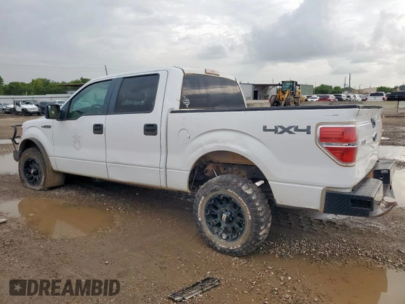 2013 Ford F-150 XL with VIN 1FTFW1EF8DFA45783, listed as a Copart auction lot 64494215 with 194,441 mi miles and Clean title. Bid and sale history available at DreamBid. Image 2.