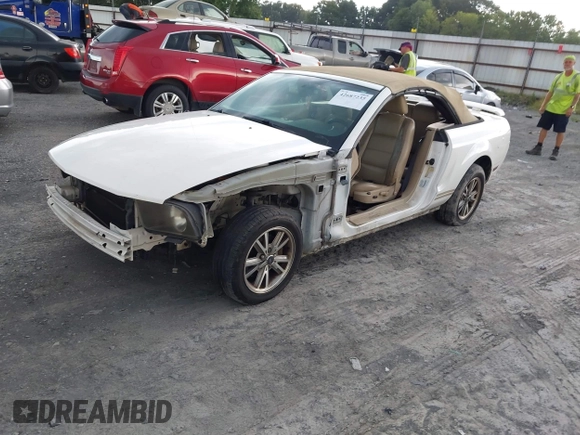 2005 Ford Mustang Deluxe with VIN 1ZVFT84N755253121, listed as a IAAI auction lot 42687235 with Not provided miles and . Bid and sale history available at DreamBid. Image 2.