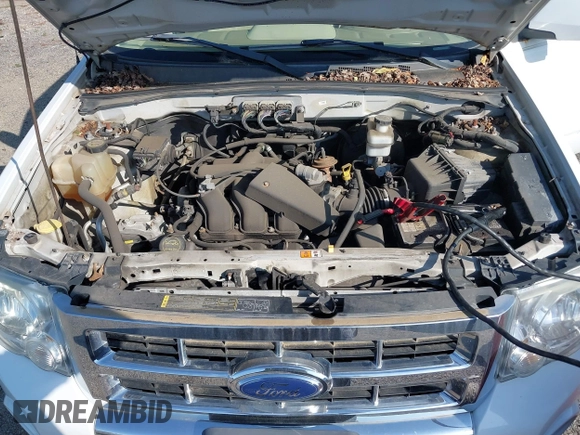2008 Ford Escape Limited с VIN 1FMCU94158KB25094, выставлен на аукционе IAAI как лот 42573706 с пробегом 147 062 миль миль и . История ставок и продаж доступна на DreamBid. Изображение 10.