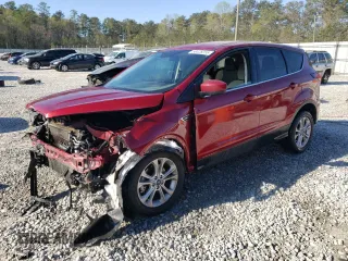 2019 Ford Escape SE with VIN 1FMCU0GD3KUA49713, listed as a Copart auction lot 50428255 with 123,330 mi miles and Salvage Title. Bid and sale history available at carsss.com. Image 1.
