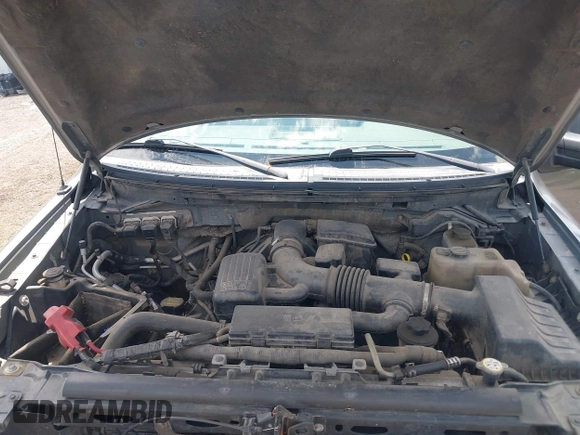 2010 Ford F-150 XL with VIN 1FTFW1EV3AFD14579, listed as a IAAI auction lot 42598587 with 196,758 mi miles and . Bid and sale history available at DreamBid. Image 10.
