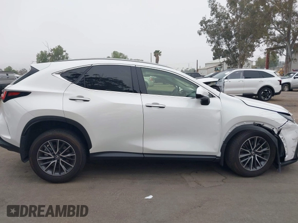 2024 Lexus NX 250 Premium with VIN JTJGDCAZ2R5022080, listed as a IAAI auction lot 42020862 with 9,922 mi miles and . Bid and sale history available at DreamBid. Image 13.