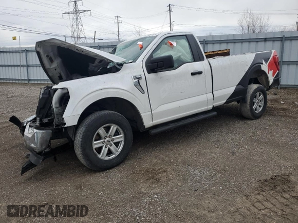 2021 Ford F-150 XL with VIN 1FTMF1E57MKF01861, listed as a Copart auction lot 51106135 with Not provided miles and Non repairable. Bid and sale history available at DreamBid. Image 1.
