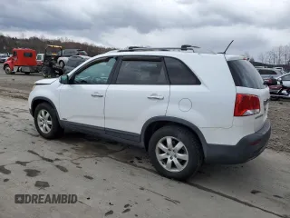 2011 Kia Sorento LX with VIN 5XYKTCA19BG181928, listed as a Copart auction lot 50621165 with Not Provided miles and Salvage Title. Bid and sale history available at DreamBid. Image 2.