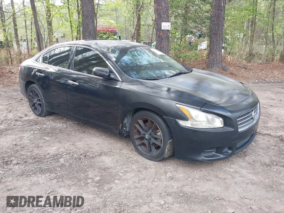 2009 Nissan Maxima SV with VIN 1N4AA51E39C841742, listed as a IAAI auction lot 41964426 with 165,199 mi miles and . Bid and sale history available at DreamBid. Image 1.