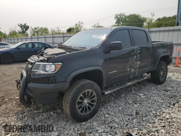 2019 Chevrolet Colorado 4WD ZR2 with VIN 1GCGTEEN2K1346880, listed as a Copart auction lot 58902925 with 44,659 mi miles and Salvage title. Bid and sale history available at DreamBid. Image 1.