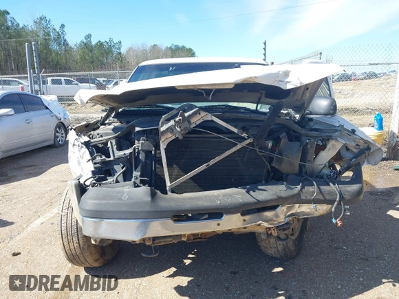 2004 Chevrolet Silverado 1500 Work Truck with VIN 1GCEC14X34Z337581, listed as a IAAI auction lot 41621103 with 299,264 mi miles. Bid and sale history available at carsss.com. Image 6.