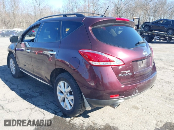 2013 Nissan Murano SV with VIN JN8AZ1MW4DW310576, listed as a IAAI auction lot 41916168 with 192,062 mi miles. Bid and sale history available at carsss.com. Image 3.