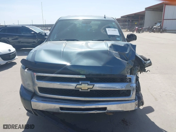 2010 Chevrolet Silverado 1500 LT with VIN 3GCRCSE07AG256393, listed as a IAAI auction lot 41735987 with 157,543 mi miles. Bid and sale history available at carsss.com. Image 12.