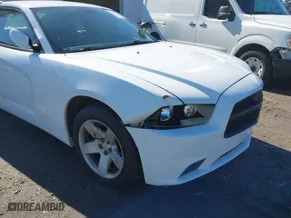 2014 Dodge Charger Police with VIN 2C3CDXAG6EH121287, listed as a IAAI auction lot 41728835 with 116,253 mi miles. Bid and sale history available at carsss.com. Image 6.