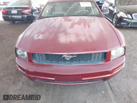 2008 Ford Mustang Deluxe with VIN 1ZVHT80N785179881, listed as a IAAI auction lot 42058845 with 154,385 mi miles. Bid and sale history available at carsss.com. Image 6.