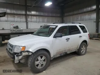 2010 Ford Escape XLT with VIN 1FMCU9D70AKC91114, listed as a Copart auction lot 82855174 with 249,531 mi miles and Salvage Title. Bid and sale history available at carsss.com. Image 1.