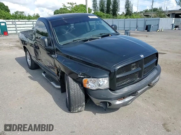 2005 Dodge 1500 SLT with VIN 1D7HA16N05J620900, listed as a Copart auction lot 62300854 with 231,675 mi miles and Salvage Title. Bid and sale history available at carsss.com. Image 10.