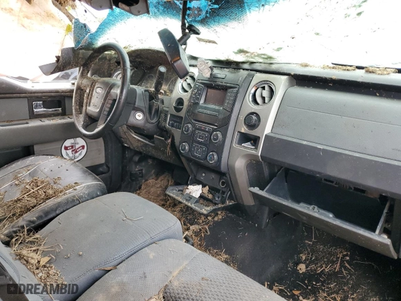 2013 Ford F-150 XL with VIN 1FTFW1CF9DKE64655, listed as a Copart auction lot 44327465 with 176,952 mi miles and Salvage Title. Bid and sale history available at carsss.com. Image 8.