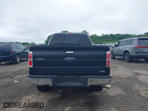 2010 Ford F-150 XL with VIN 1FTFX1EV8AFC46471, listed as a IAAI auction lot 42749255 with 169,134 mi miles and . Bid and sale history available at DreamBid. Image 16.