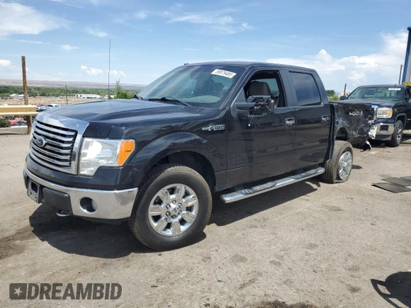 2010 Ford F-150 XL with VIN 1FTEW1E89AFB36912, listed as a Copart auction lot 59979485 with 99,476 mi miles and Salvage title. Bid and sale history available at DreamBid. Image 1.