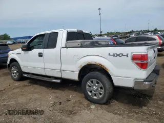 2010 Ford F-150 XL z VIN 1FTFX1EV6AFA51162, wystawiony jako Copart lot #58796095 z przebiegiem 272 808 mil mil oraz Czysty tytuł • Clean title. Historia ofert i sprzedaży dostępna na DreamBid. Obrazek 2.