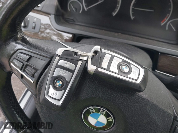 2011 BMW 7 Series 750Li xDrive with VIN WBAKC8C53BC433168, listed as a IAAI auction lot 42189726 with 177,368 mi miles and . Bid and sale history available at DreamBid. Image 11.