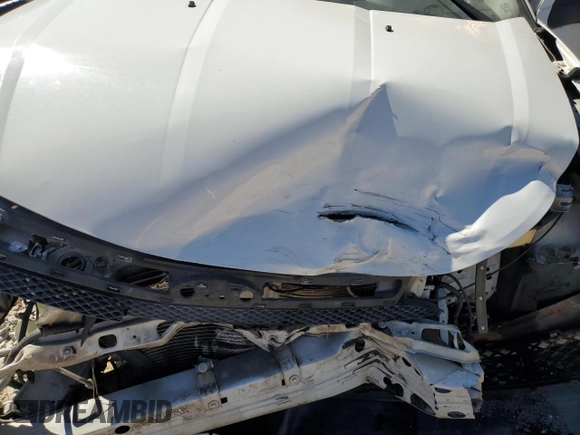 2010 Ford Focus SE with VIN 1FAHP3FN9AW184510, listed as a Copart auction lot 49619545 with 0 mi miles and Salvage Title. Bid and sale history available at carsss.com. Image 11.