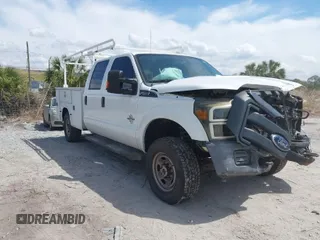 2014 Ford F-250 z VIN 1FD7W2BT2EEB46907, wystawiony jako IAAI lot #41888370 z przebiegiem 298 546 mil mil oraz . Historia ofert i sprzedaży dostępna na DreamBid. Obrazek 1.