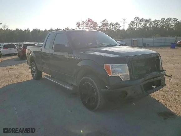2013 Ford F-150 XL with VIN 1FTFX1CFXDFD90572, listed as a Copart auction lot 43826365 with 179,936 mi miles and Salvage Title. Bid and sale history available at carsss.com. Image 11.