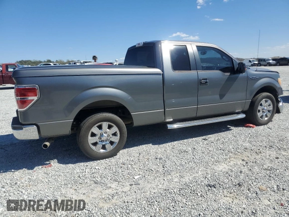 2010 Ford F-150 XL with VIN 1FTEX1C85AFD61411, listed as a Copart auction lot 50500925 with 164,735 mi miles and Salvage Title. Bid and sale history available at carsss.com. Image 3.