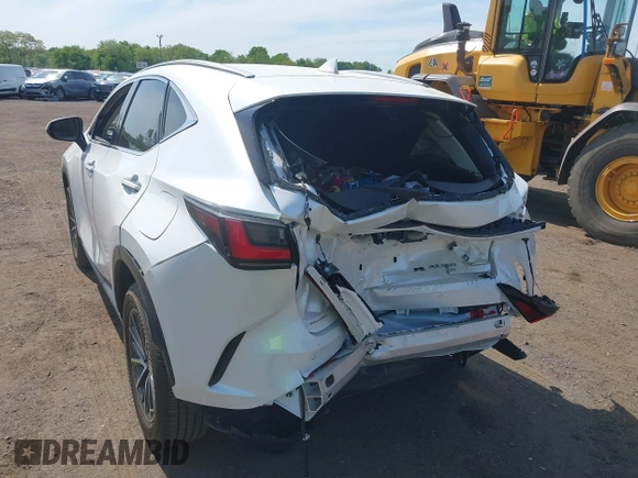 2023 Lexus NX 350 Premium with VIN JTJGGCEZ1P5005429, listed as a IAAI auction lot 42221326 with 15,859 mi miles and . Bid and sale history available at DreamBid. Image 6.