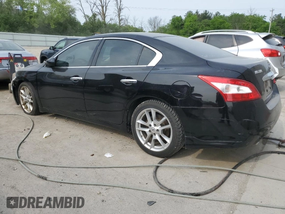 2010 Nissan Maxima SV with VIN 1N4AA5AP3AC818127, listed as a Copart auction lot 58318415 with Not provided miles and Clean title. Bid and sale history available at DreamBid. Image 2.