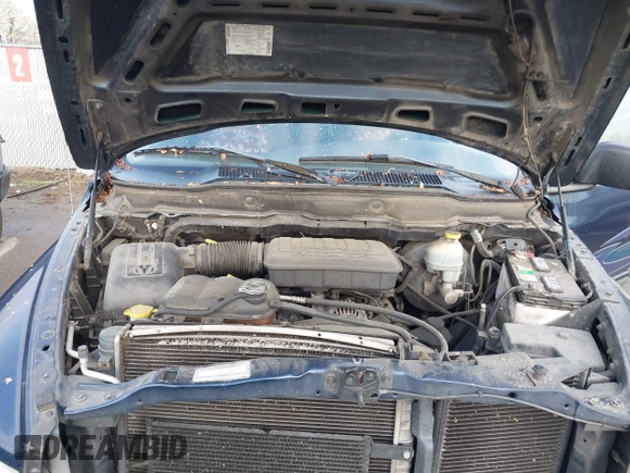 2002 Dodge 1500 with VIN 3D7HU18N62G169229, listed as a IAAI auction lot 41989528 with 206,245 mi miles and . Bid and sale history available at DreamBid. Image 10.