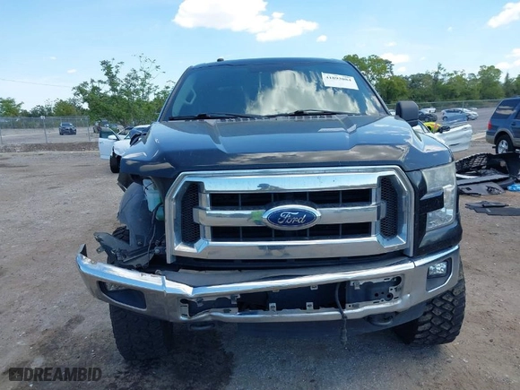2017 Ford F-150 XL with VIN 1FTEW1EF1HFB91685, listed as a IAAI auction lot 41893084 with 309,583 mi miles. Bid and sale history available at carsss.com. Image 12.
