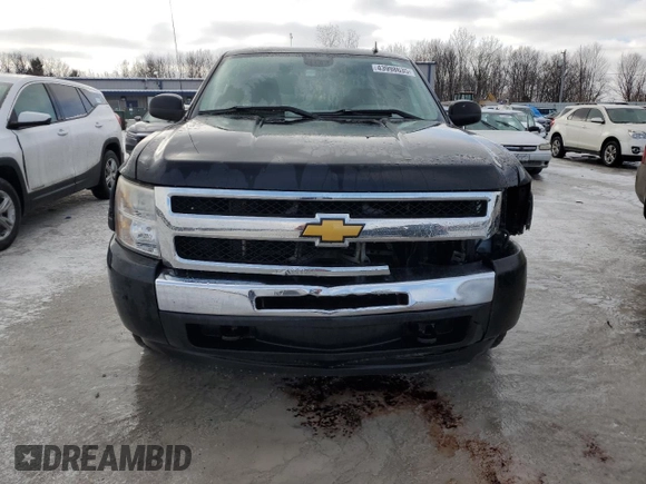 2010 Chevrolet Silverado 1500 LS with VIN 1GCSKREA0AZ215576, listed as a Copart auction lot 43998635 with 161,094 mi miles and Clean Title. Bid and sale history available at DreamBid. Image 4.