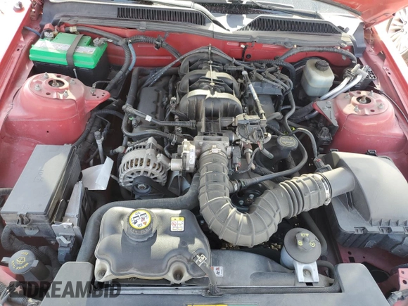 2006 Ford Mustang Standard with VIN 1ZVFT80N865131486, listed as a Copart auction lot 62031945 with Not provided miles and Salvage title. Bid and sale history available at DreamBid. Image 11.