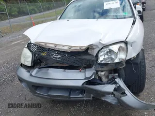 2004 Hyundai Santa Fe GLS with VIN KM8SC73D04U848820, listed as a IAAI auction lot 42031150 with 203,829 mi miles and . Bid and sale history available at DreamBid. Image 6.