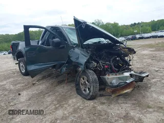 2004 Ford F-150 XL with VIN 1FTRF14W14NB97084, listed as a IAAI auction lot 42243709 with Not provided miles and . Bid and sale history available at DreamBid. Image 1.