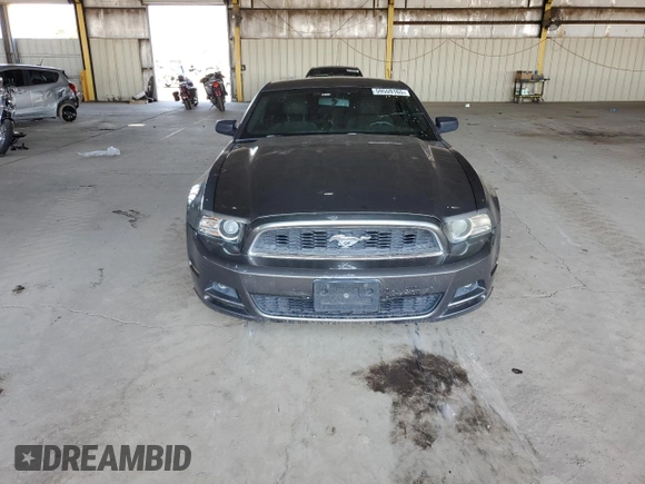 2013 Ford Mustang V6 with VIN 1ZVBP8AM7D5221623, listed as a Copart auction lot 59559165 with 160,070 mi miles and Salvage title. Bid and sale history available at DreamBid. Image 5.