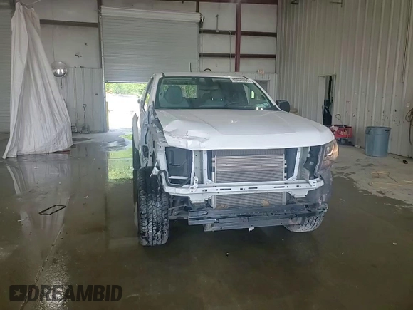 2017 Chevrolet Colorado 2WD WT with VIN 1GCHSBEA9H1250482, listed as a Copart auction lot 59893665 with 82,314 mi miles and Salvage title. Bid and sale history available at DreamBid. Image 14.