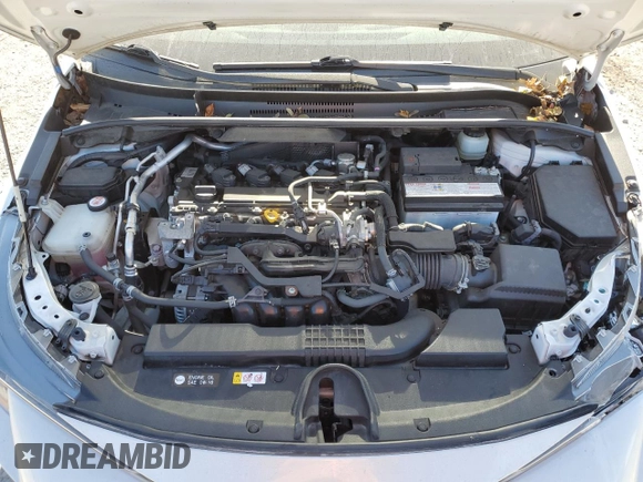 2019 Toyota Corolla SE with VIN JTNK4RBEXK3059015, listed as a Copart auction lot 77062644 with 55,028 mi miles and Salvage Title. Bid and sale history available at DreamBid. Image 12.