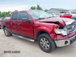 2013 Ford F-150 XL with VIN 1FTFW1EF3DKE15271, listed as a IAAI auction lot 42720294 with 230,822 mi miles and . Bid and sale history available at DreamBid. Image 13.
